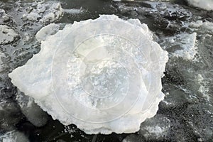 Pancake ice on Gulf of Finland of Baltic sea.