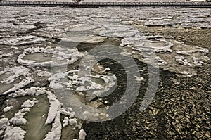 Pancake Ice in the Manistee River