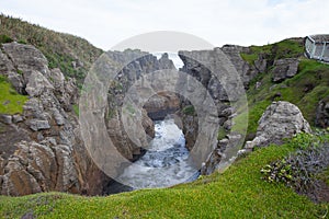 Pancake rocks and blowholes, Punakaiki New zealand photo