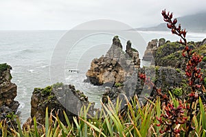 Pancake rocks, New Zealand