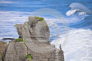 Pancake Rocks, Punakaiki, New Zealand