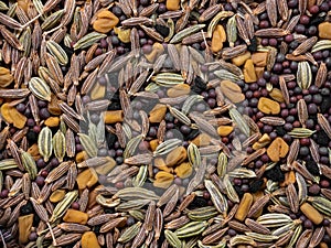 Panch phoron (Indian Five Spice Blend) and consists of the following seeds: Cumin, Brown Mustard,