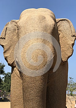 Monolithic Elephant statue in Pancha Rathas complex at Mahabalipuram, Tamilnadu photo