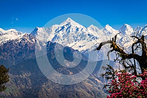 Panchchuli peaks  at Munsiyari