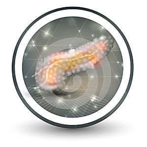 Pancreas icon