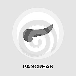 Pancreas icon flat
