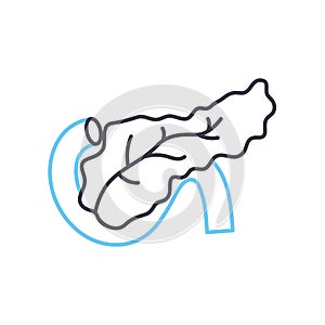 pancreas line icon, outline symbol, vector illustration, concept sign