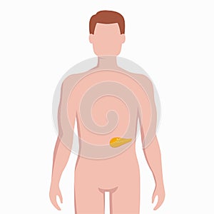 Pancreas on man body silhouette vector medical illustration isolated on white background. Human inner organ placed in