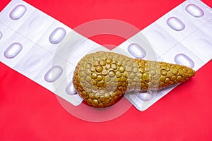 Pancreas, pills and treatment concept photo. The anatomical model of the pancreas is on two blisters with tablets top view. Idea f