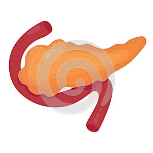 Pancreass. Human organ. Vector illustration in flat cartoon style. Anatomy concept.