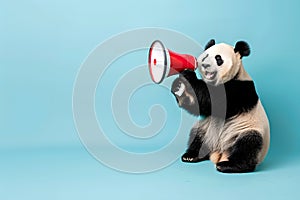 Panda announcing using megaphone. Notifying, warning, announcement photo