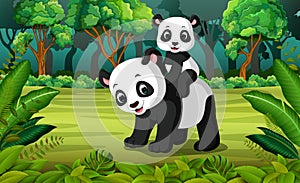 Panda with baby panda in the forest