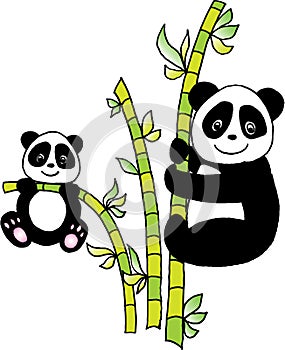 Panda with bamboo