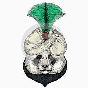 Panda, bamboo bear portrait. Head of big panda. Animal and wizard hat. Sorcerer and magican