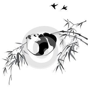Panda on bamboo branch