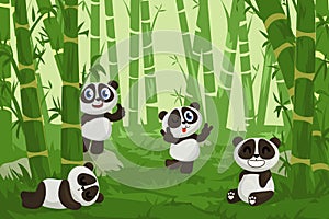 Panda in bamboo garden. Cartoon happy zoo bear character in green forest. Funny Chinese animal mascot with cute emotion