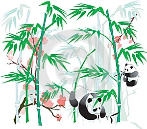 Panda and Bamboo illustration.