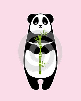 Panda with bamboo sprout