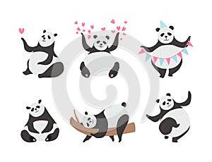 Panda Bear with Black-and-white Coat and Rotund Body Vector Set