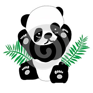 Panda Bear in Black and White