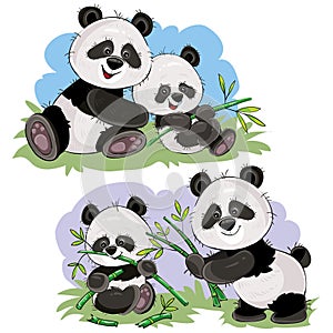 Panda bear characters vector cartoon illustration