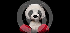 Panda bear doll isolated on png background, animal toy,