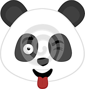 Panda bear funny expression