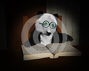 Panda Bear Read Book, Reading Illustration