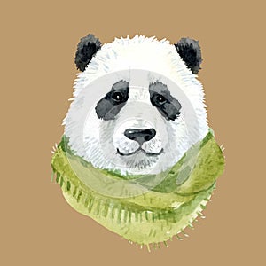 Panda bear wearing a scarf