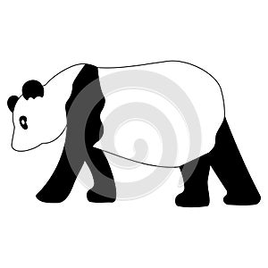 Panda black white Chinese animal Asian bear