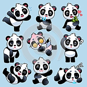 Panda. Cute asian bears in different poses, eating bamboo stem and sleeping, playing in zoo or jungle, funny animals