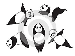 Panda in different joga pose. Black and white vector illustration. Simple bear who does exercises