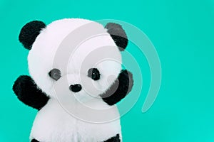 Panda doll black and white, black rim of eyes,panda toy for children on green