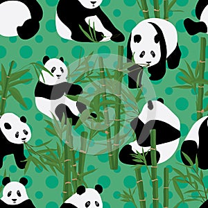 Panda eat bamboo seamless pattern photo