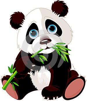 Panda eating bamboo