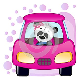 Panda girl in a car