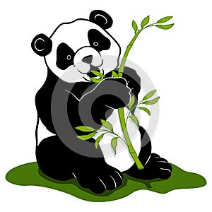 Panda image