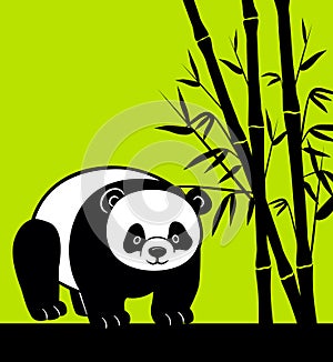 Panda image