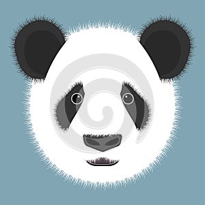 Panda isolated on color background. Vector illustration.