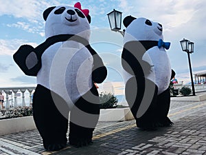 Panda Love Story