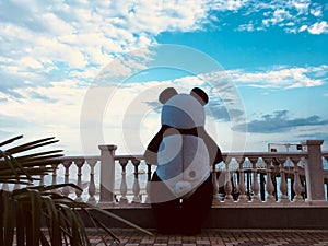 Panda Love Story
