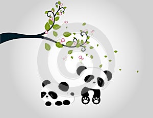 Panda playing under tree branches
