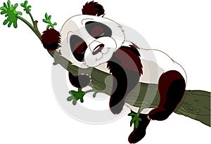 Panda sleeping on a branch photo