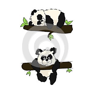 Panda is sleeping or playing on a tree
