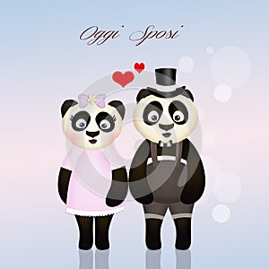 Panda spouses