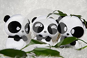 Panda toy