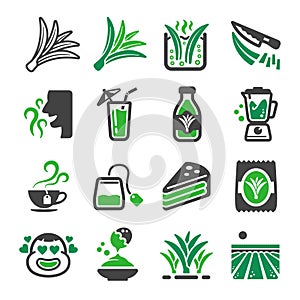 Pandan icon set photo