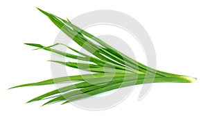 Pandan leaf isolated on the white background