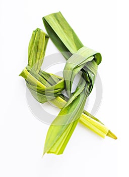 Pandan Leaves photo