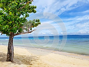 Pandanon Island in the Cebu of the Philippines